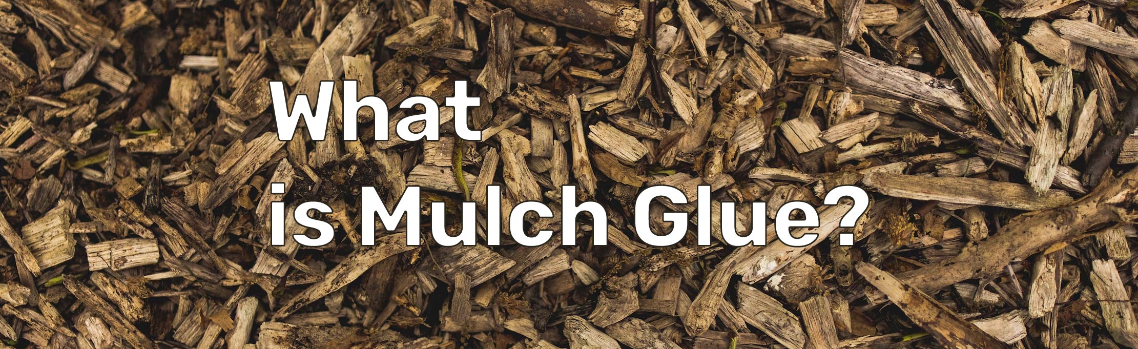 What is Mulch Glue?